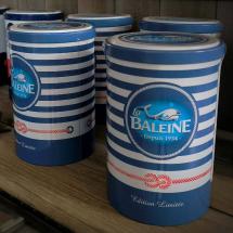 la baleine sel salins